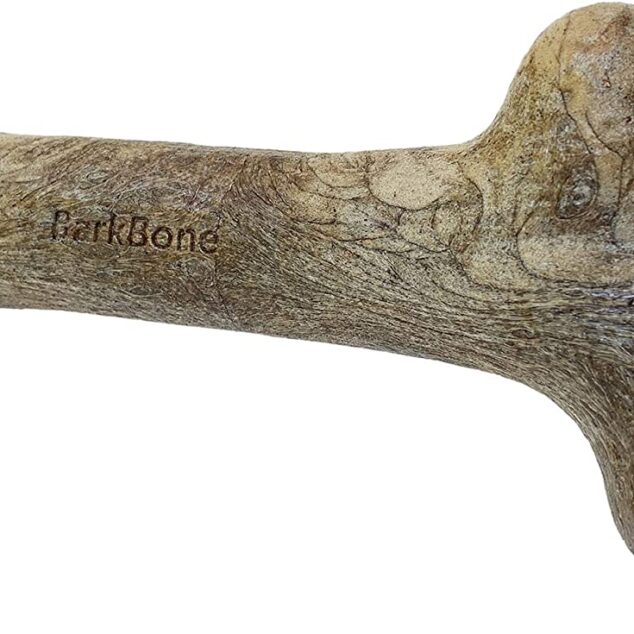 Pet Qwerks Dinosaur BarkBone - Nylon Dog Bone for Aggressive Chewers