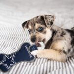 Pets First NFL Dog Dental Tug