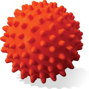 Franklin Sports Ready Set Fetch All Weather Ball